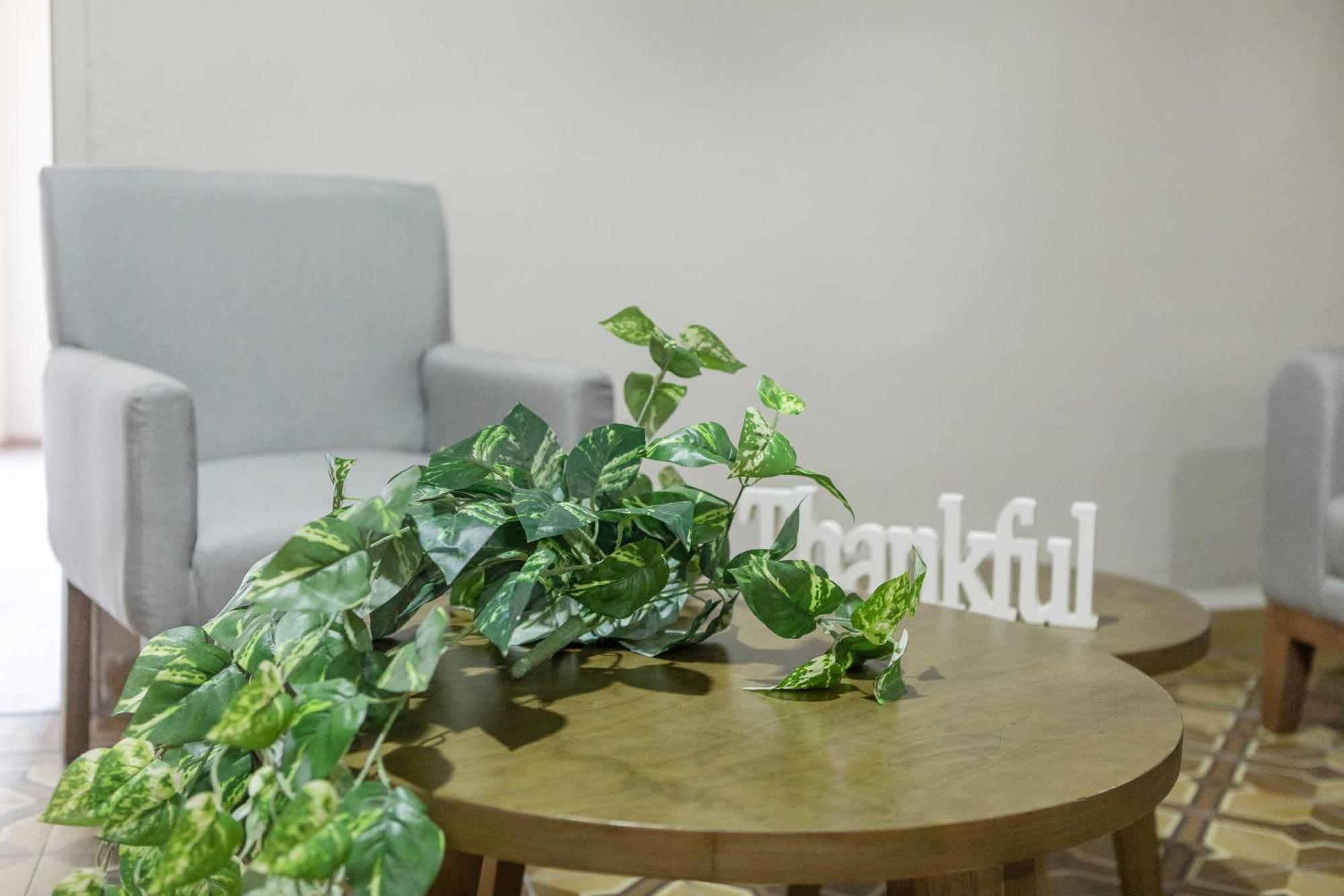 Relax In Style - Roma Norte 3Br - Fast Wifi Мексико Сити Екстериор снимка